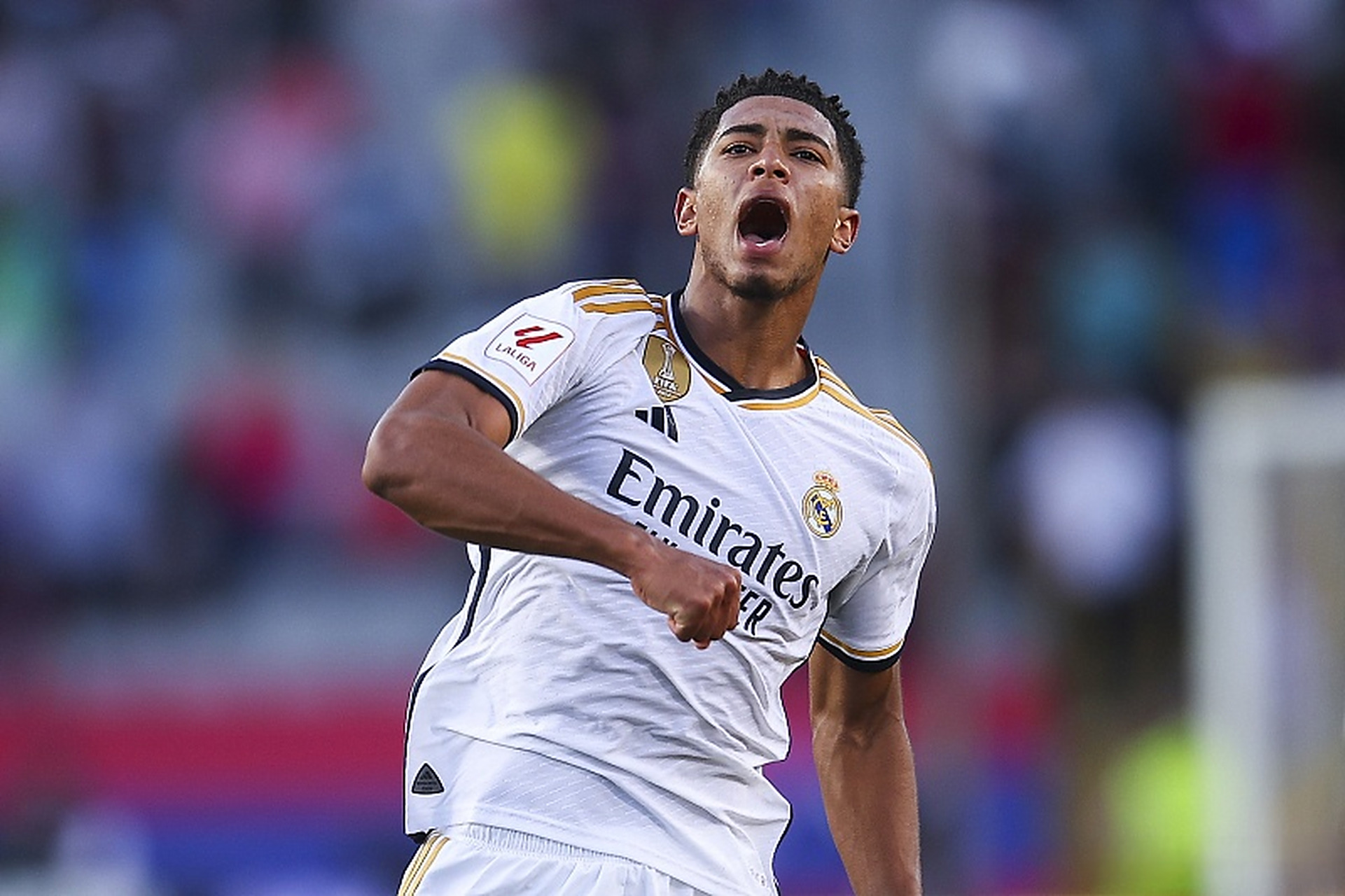 体化恢复窗 体化恢复窗